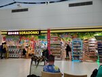 30082023_Samsung Smartphone Galaxy 10 Plus_25th round to Hokkaido_New Chitose Airport00003