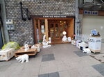 30082023_Samsung Smartphone Galaxy 10 Plus_25th round to Hokkaido_Sapporo Town Morning Scene_Tanuki Kojii00024