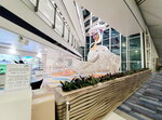 17032024_Samsung Smartphone Galaxy S10 Plus_Japan Tohoku Tour_Hong Kong International Airport00012