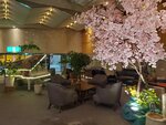 17032024_Samsung Smartphone Galaxy S10 Plus_Japan Tohoku Tour_Ibarakiken Crystal Palace Hotel00004