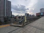 17032024_Samsung Smartphone Galaxy S10 Plus_Japan Tohoku Tour_Ibarakiken_Mitoshi00001