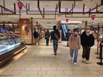 17032024_Samsung Smartphone Galaxy S10 Plus_Japan Tohoku Tour_Ibarakiken_Mitoshi00005