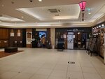 17032024_Samsung Smartphone Galaxy S10 Plus_Japan Tohoku Tour_Ibarakiken_Mitoshi00009