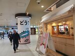 17032024_Samsung Smartphone Galaxy S10 Plus_Japan Tohoku Tour_Ibarakiken_Mitoshi00016