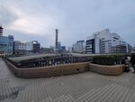 17032024_Samsung Smartphone Galaxy S10 Plus_Japan Tohoku Tour_Ibarakiken_Mitoshi00022