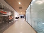 17032024_Samsung Smartphone Galaxy S10 Plus_Japan Tohoku Tour_Ibarakiken_Mitoshi00024