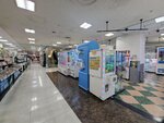 17032024_Samsung Smartphone Galaxy S10 Plus_Japan Tohoku Tour_Ibarakiken_Mitoshi00028