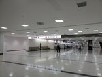 17032024_Samsung Smartphone Galaxy S10 Plus_Japan Tohoku Tour_Narita Airport00003