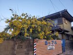 18032024_Samsung Smartphone Galaxy S10 Plus_Japan Tohoku Tour_Ibaraki Crystal Palace Hotel Morning00006