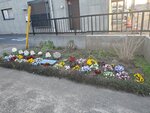 18032024_Samsung Smartphone Galaxy S10 Plus_Japan Tohoku Tour_Ibaraki Crystal Palace Hotel Morning00033