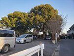 18032024_Samsung Smartphone Galaxy S10 Plus_Japan Tohoku Tour_Ibaraki Crystal Palace Hotel Morning00048