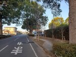 18032024_Samsung Smartphone Galaxy S10 Plus_Japan Tohoku Tour_Ibaraki Crystal Palace Hotel Morning00050