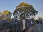 18032024_Samsung Smartphone Galaxy S10 Plus_Japan Tohoku Tour_Ibaraki Crystal Palace Hotel Morning00051
