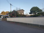 18032024_Samsung Smartphone Galaxy S10 Plus_Japan Tohoku Tour_Ibaraki Crystal Palace Hotel Morning00061