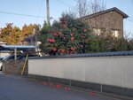 18032024_Samsung Smartphone Galaxy S10 Plus_Japan Tohoku Tour_Ibaraki Crystal Palace Hotel Morning00062