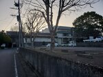 18032024_Samsung Smartphone Galaxy S10 Plus_Japan Tohoku Tour_Ibaraki Crystal Palace Hotel Morning00066