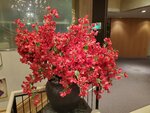 18032024_Samsung Smartphone Galaxy S10 Plus_Japan Tohoku Tour_Ibaraki Crystal Palace Hotel Morning00070