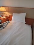 18032024_Samsung Smartphone Galaxy S10 Plus_Japan Tohoku Tour_Ibaraki Crystal Palace Hotel Morning00075