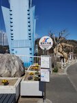 18032024_Samsung Smartphone Galaxy S10 Plus_Japan Tohoku Tour_Ibaraki Prefecture_Ryujinkyo00008