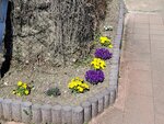 18032024_Samsung Smartphone Galaxy S10 Plus_Japan Tohoku Tour_Ibaraki Prefecture_Ryujinkyo00027