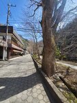 18032024_Samsung Smartphone Galaxy S10 Plus_Japan Tohoku Tour_Way to Fukuroda no Taki00005