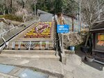 18032024_Samsung Smartphone Galaxy S10 Plus_Japan Tohoku Tour_Way to Fukuroda no Taki00009