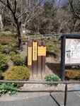 18032024_Samsung Smartphone Galaxy S10 Plus_Japan Tohoku Tour_Way to Fukuroda no Taki00011