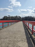 19032024_Samsung Smartphone Galaxy S10 Plus_Japan Tohoku Tour_Matsushima_Fukuura Island00005
