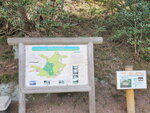 19032024_Samsung Smartphone Galaxy S10 Plus_Japan Tohoku Tour_Matsushima_Fukuura Island00013