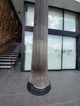 19032024_Samsung Smartphone Galaxy S10 Plus_Japan Tohoku Tour_Matsushima Machi_Main Street00011