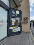 19032024_Samsung Smartphone Galaxy S10 Plus_Japan Tohoku Tour_Matsushima Machi_Main Street00012