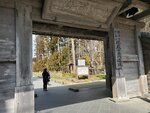 19032024_Samsung Smartphone Galaxy S10 Plus_Japan Tohoku Tour_Matsushima Zuiganji00003