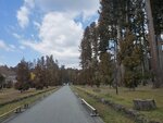 19032024_Samsung Smartphone Galaxy S10 Plus_Japan Tohoku Tour_Matsushima Zuiganji00008