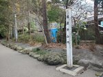19032024_Samsung Smartphone Galaxy S10 Plus_Japan Tohoku Tour_Matsushima Zuiganji00009