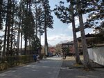 19032024_Samsung Smartphone Galaxy S10 Plus_Japan Tohoku Tour_Matsushima Zuiganji00029