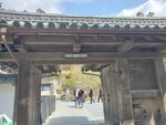 19032024_Samsung Smartphone Galaxy S10 Plus_Japan Tohoku Tour_Matsushima Zuiganji00034
