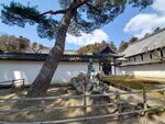 19032024_Samsung Smartphone Galaxy S10 Plus_Japan Tohoku Tour_Matsushima Zuiganji00041