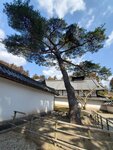 19032024_Samsung Smartphone Galaxy S10 Plus_Japan Tohoku Tour_Matsushima Zuiganji00043