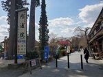 19032024_Samsung Smartphone Galaxy S10 Plus_Japan Tohoku Tour_Matsushima Zuiganji00055
