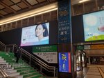 19032024_Samsung Smartphone Galaxy S10 Plus_Japan Tohoku Tour_Sendai_ANA Holiday Inn Hotel Morning00039