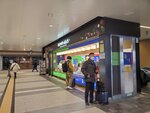 19032024_Samsung Smartphone Galaxy S10 Plus_Japan Tohoku Tour_Sendai_ANA Holiday Inn Hotel Morning00041
