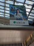 19032024_Samsung Smartphone Galaxy S10 Plus_Japan Tohoku Tour_Sendai_ANA Holiday Inn Hotel Morning00045