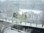 20032024_Samsung Smartphone Galaxy S10 Plus_Japan Tohoku Tour_Hotel Mori no Kaze Morning00001