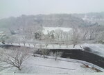 20032024_Samsung Smartphone Galaxy S10 Plus_Japan Tohoku Tour_Hotel Mori no Kaze Morning00010