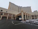 20032024_Samsung Smartphone Galaxy S10 Plus_Japan Tohoku Tour_Hotel Mori no Kaze Morning00015