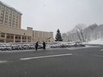 20032024_Samsung Smartphone Galaxy S10 Plus_Japan Tohoku Tour_Hotel Mori no Kaze Morning00023