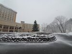 20032024_Samsung Smartphone Galaxy S10 Plus_Japan Tohoku Tour_Hotel Mori no Kaze Morning00029