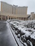 20032024_Samsung Smartphone Galaxy S10 Plus_Japan Tohoku Tour_Hotel Mori no Kaze Morning00030