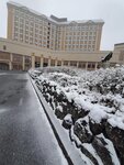 20032024_Samsung Smartphone Galaxy S10 Plus_Japan Tohoku Tour_Hotel Mori no Kaze Morning00031