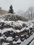 20032024_Samsung Smartphone Galaxy S10 Plus_Japan Tohoku Tour_Hotel Mori no Kaze Morning00032